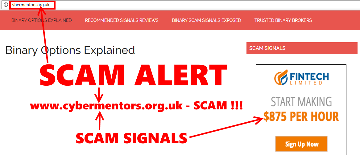 Binary options forex scam